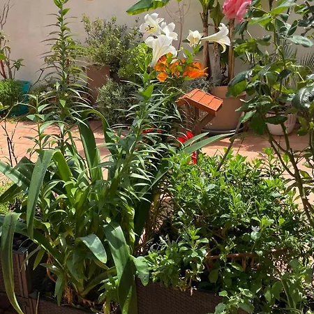 Apartamento Figueres Center Figueras