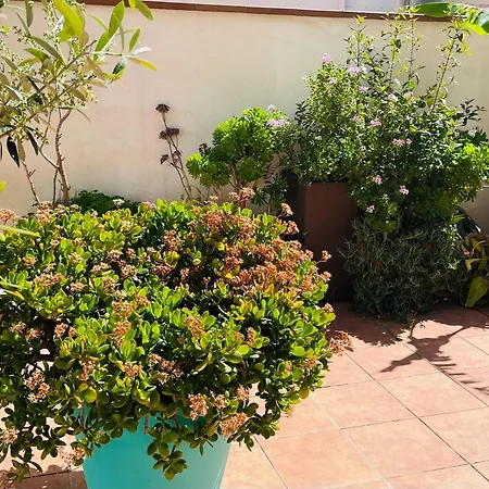 Apartamento Figueres Center Figueras