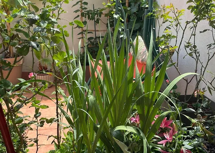 Center Figueres (Girona)