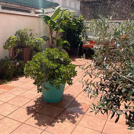 Center * Φιγκέρες