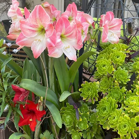 Center